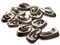 12 23mm to 30mm Spiral Sliced Natural Shell Pendant Beads